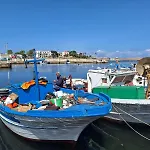 Capo Petit Appartement Palermo